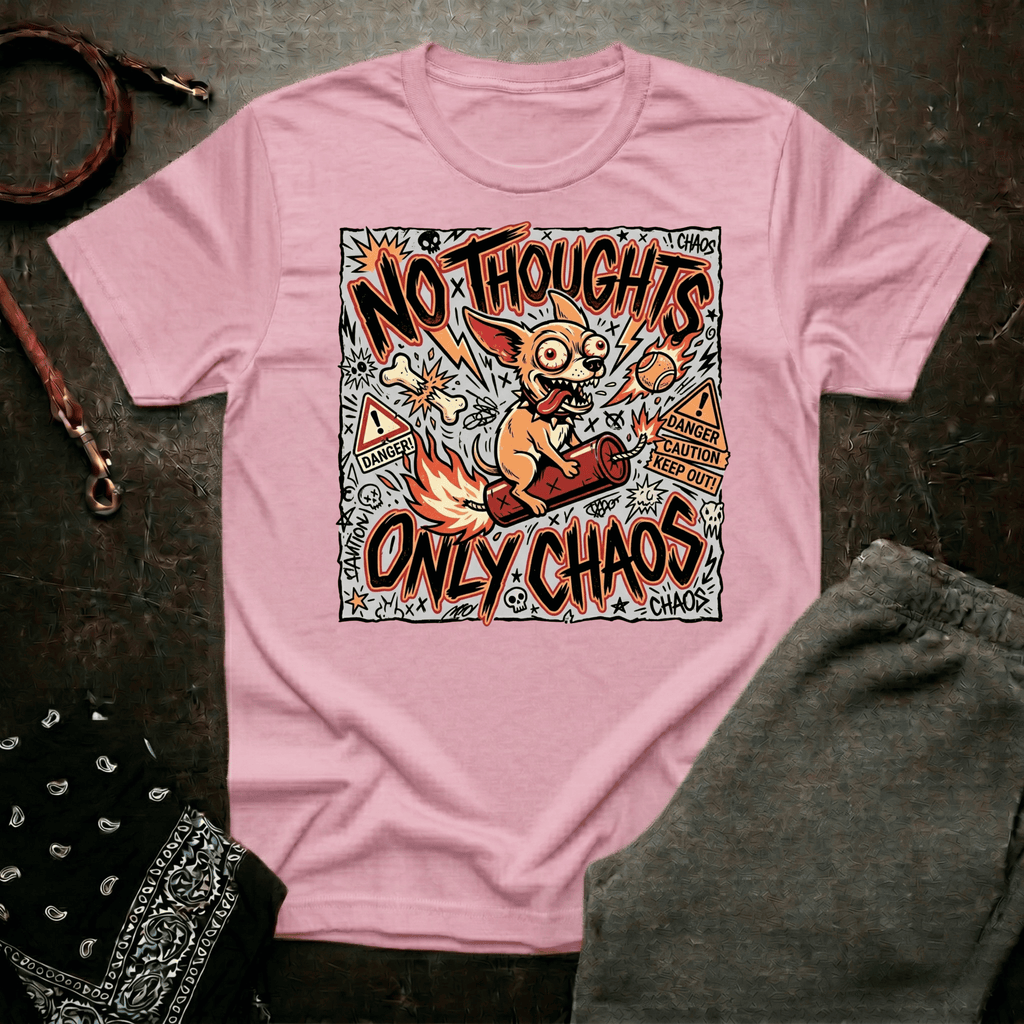 ONLY CHAOS